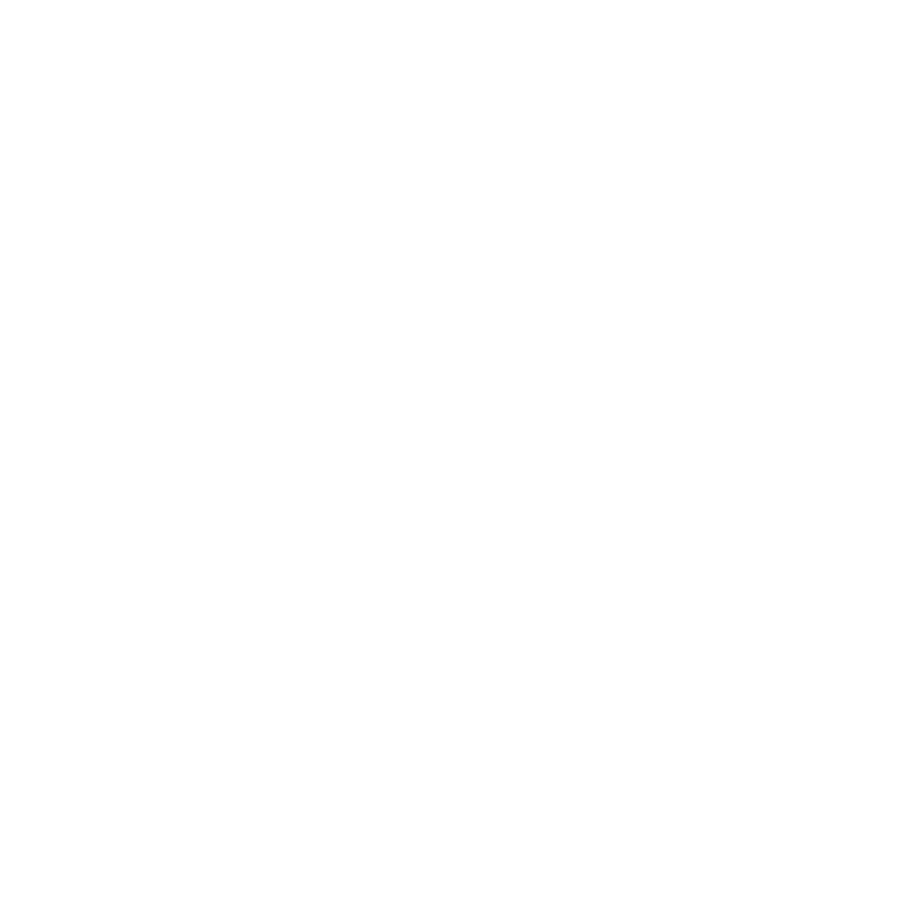 Foreign Travel & Settlement Report